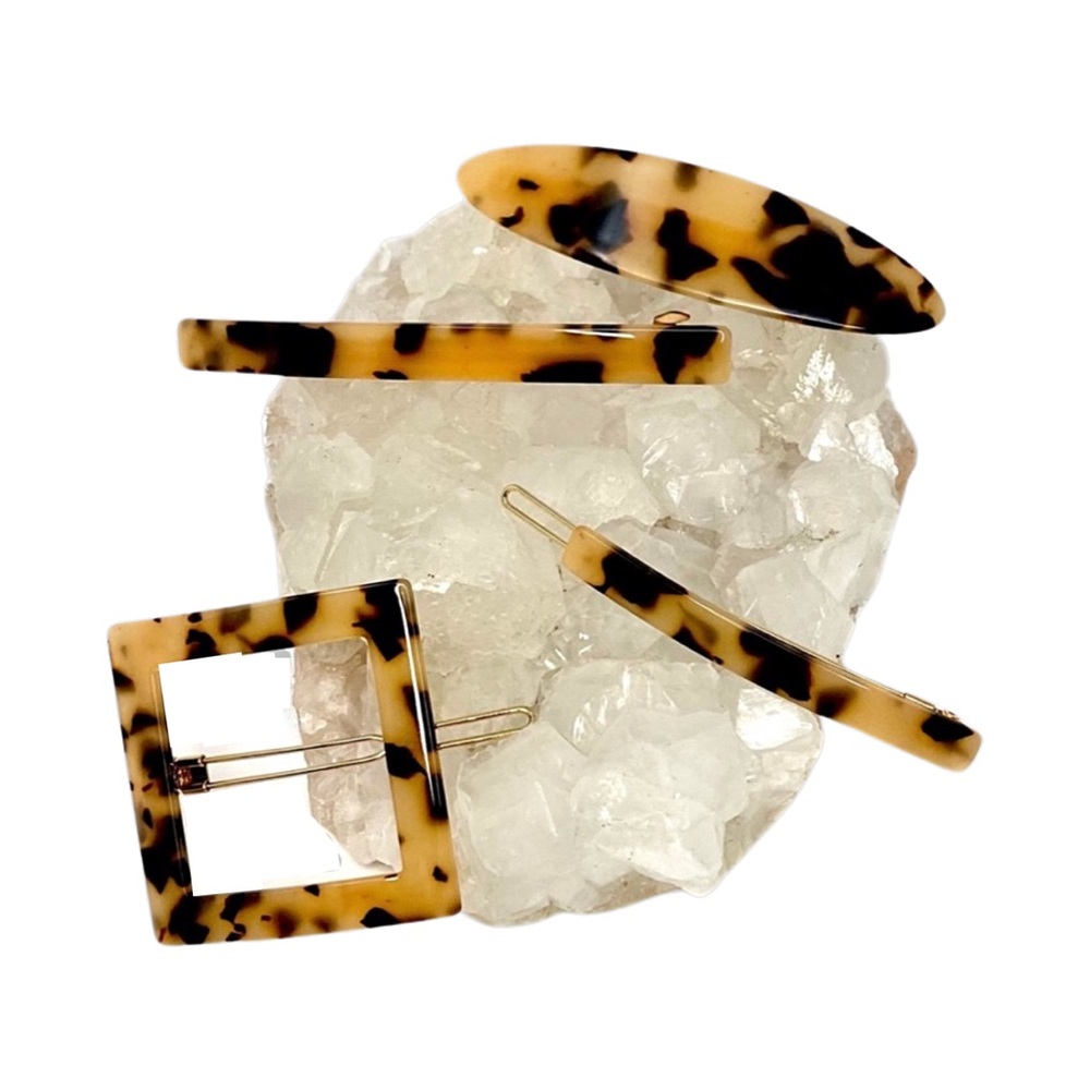Tortoise‎ Shell Inspired Hair Clip Set of 4